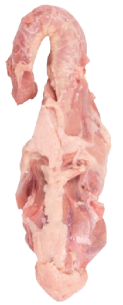 imagem de Dorso